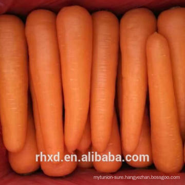 2018 New crop fresh carrot new harvest carrot